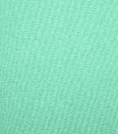Colorful Standard T-shirt Faded Mint