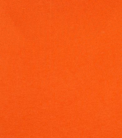 Suitable Respekt T-shirt Jim Orange