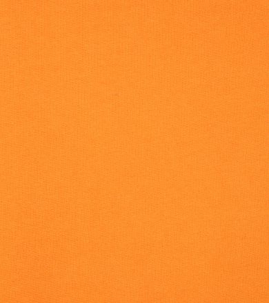 Colorful Standard Sweatshirt Organic Orange