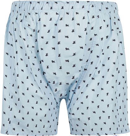 Steppin' Out Boxershorts med Løveprint i Lyseblå