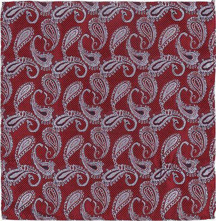 PS-POLY-RE-PAISLEY