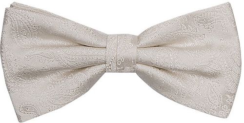 Profuomo Bow Tie Paisley Product