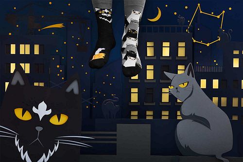 Many Mornings Socks Black Cat Model / Voorkant