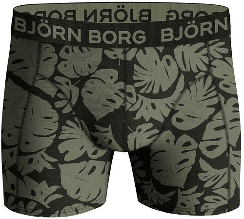Pack de 5 bóxers Bjorn Borg de algodón elástico multicolor Product