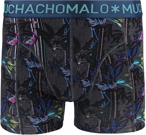 U-FLAMINGO1010-01-Print/Print/Green