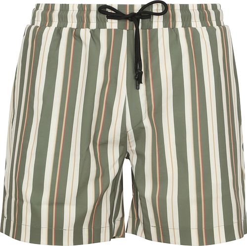 Bañador Anerkjendt Shark a rayas verde Product