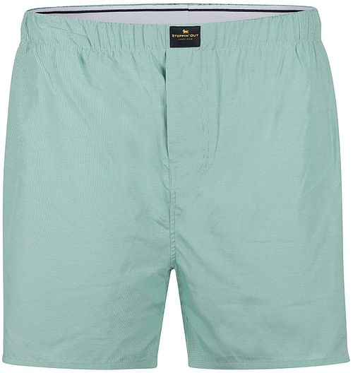 Steppin' Out boxershorts rutigt Grön Product