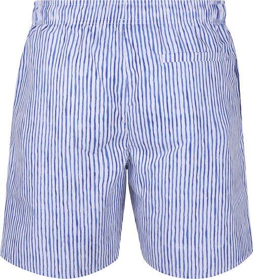 Napapijri Swimwear Elior Stripes Blue