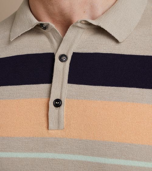Vanguard Stickad Polo Beige Model / Detail