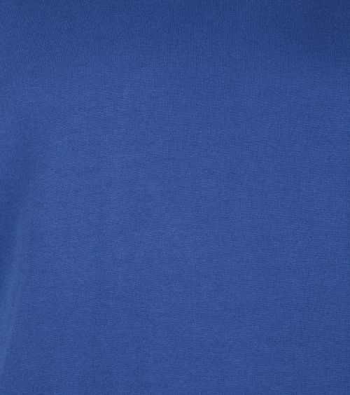 Colorful Standard Bio-T-shirt Blauw Product / Detail