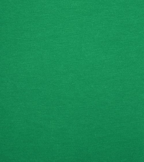 Camiseta Colorful Standard en verde Kelly Product / Detail