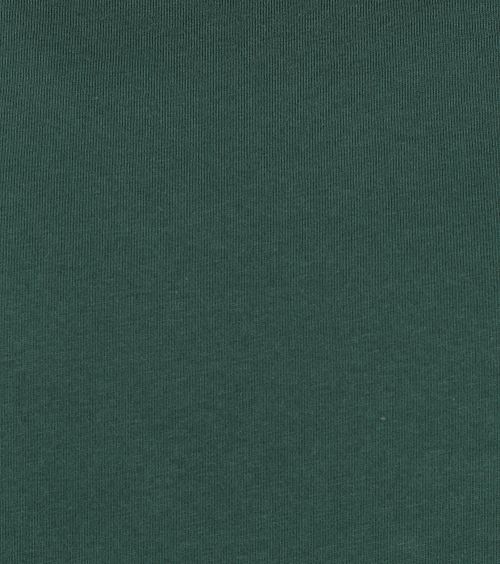 Colorful Standard T-shirt Emerald Groen Product / Detail