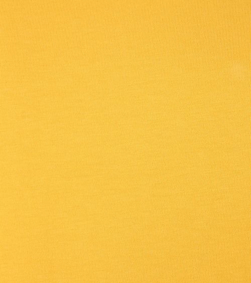 Colorful Standard T-shirt Gelb Product / Detail