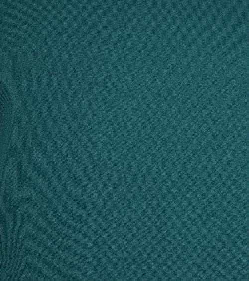 Colorful Standard T-shirt Ocean Groen Product / Detail