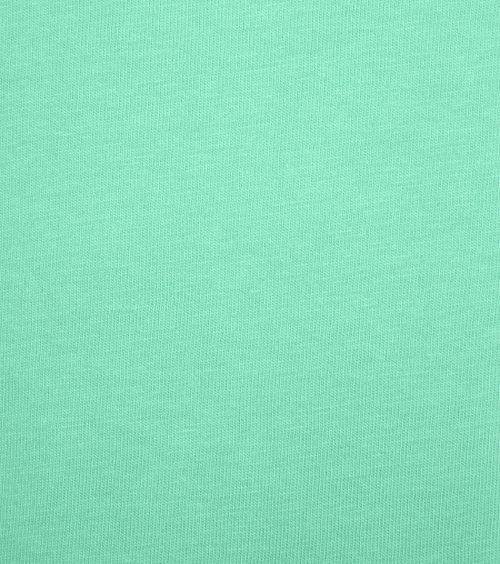 Colorful Standard T-skjorte Blek grønn Product / Detail