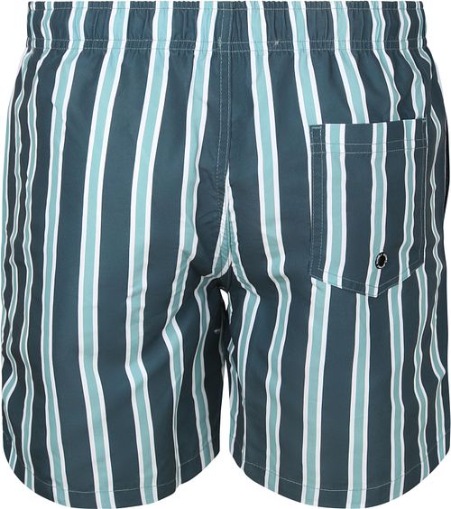 Costume da bagno Suitable Stripe Verde Product / Achterkant