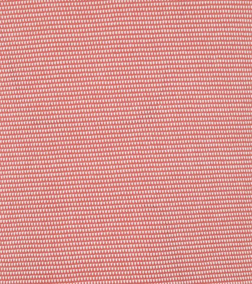 Suitable Oxford Polo Rosa Product / Detail
