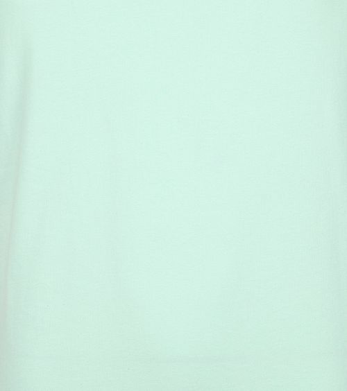 Suitable Respect T-Shirt Jim verde claro Product / Detail