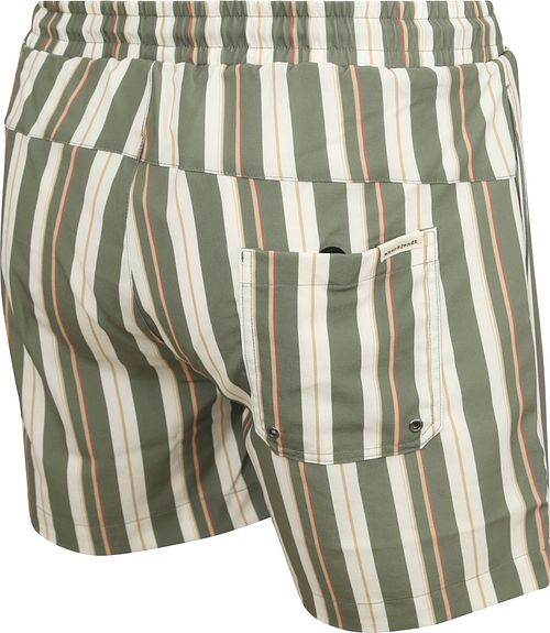 Anerkjendt Hai Badebukse Stripe Grønn Product / Achterkant