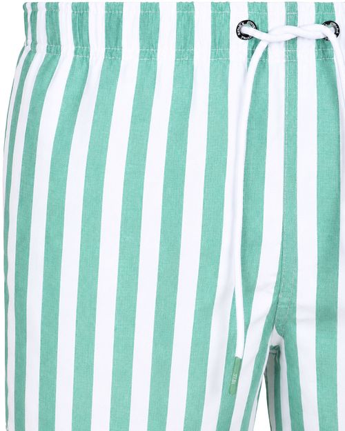 Suitable costume da bagno Big Stripe verde Product / Detail