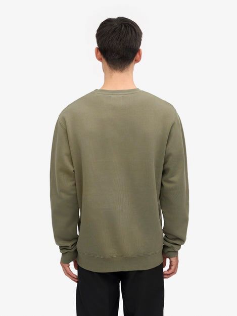 Colorful Standard Sweater Økologisk Oliven Model / Achterkant