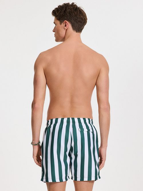 Shiwi Badshorts Mac Mörkgrön Model / Achterkant