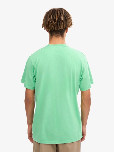 T-Shirt Colorful Standard Faded Mint Model / Achterkant