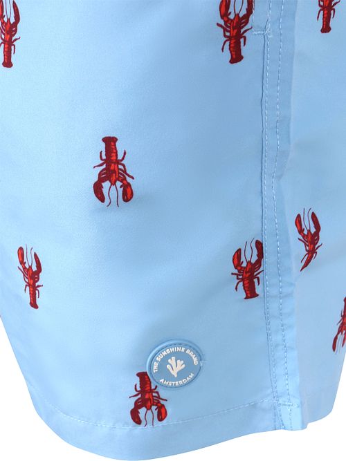 Shiwi Mike Blue Harbor Lobster Bañador Multicolor Model / Detail