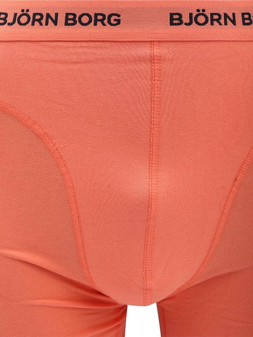 Björn Borg boksere i bomullsstrekk, 5-pakning, flerfarget Product / Detail