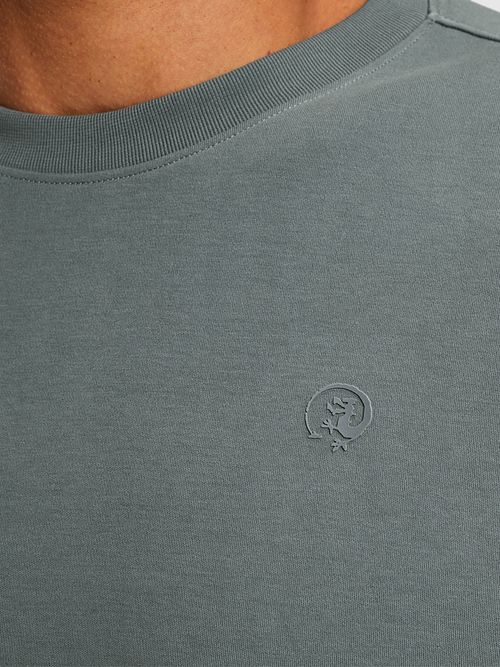 Cast Iron T-shirt Stormy Blauw Model / Detail