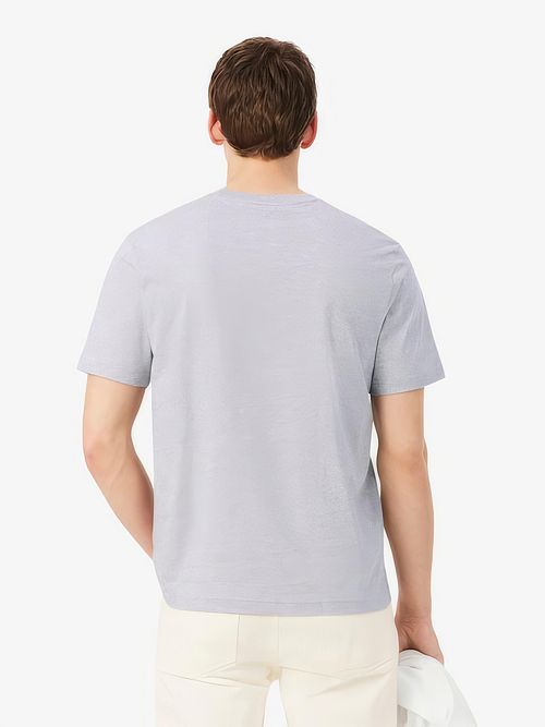 Lacoste T-Shirt Grijs Model / Achterkant