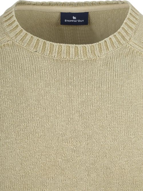 Steppin' Out Trui Sage Groen Product / Detail