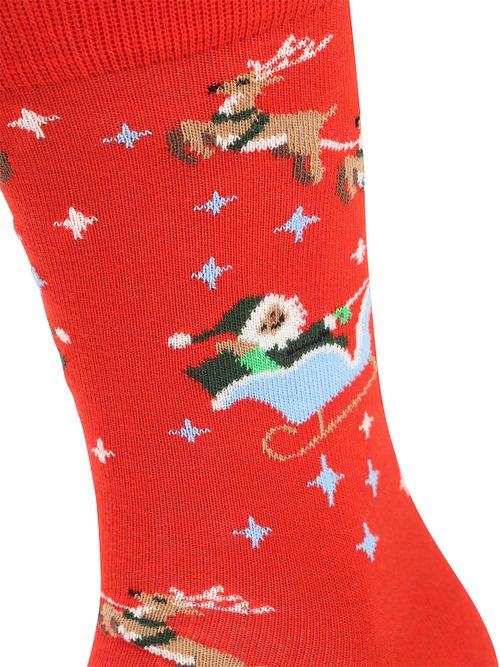 Happy Socks Strømper Sleigh Product / Detail