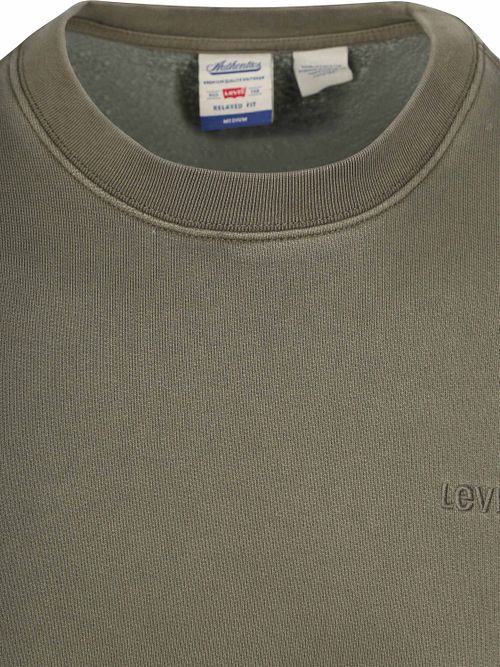 Levi's Authentic Logo Jersey Green Product