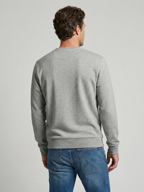 McGregor Sudadera Gráfico Grey Model / Achterkant