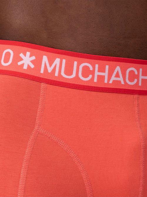 Muchachomalo Boxershorts 3er-Pack 621 Model / Detail
