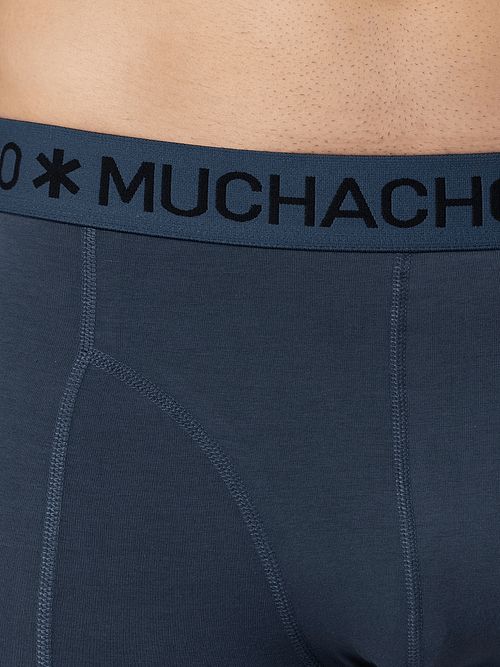 Muchachomalo Boxershorts 3er-Pack Palmbirds Model / Detail