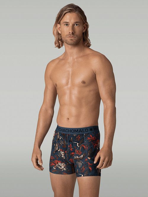 PALMBIRDS1010-01-2555