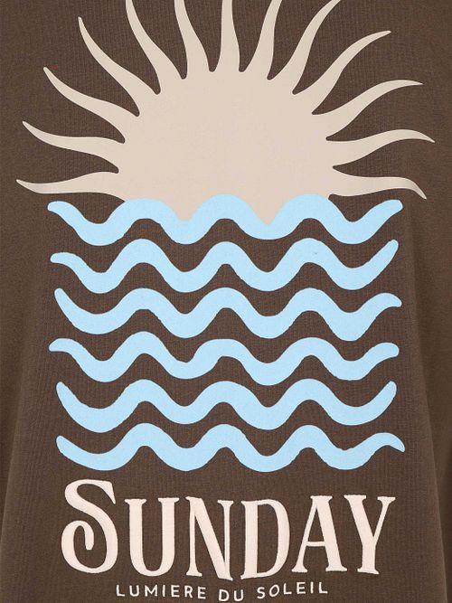 Supply & Co T-Shirt Backprint Brown Product / Detail