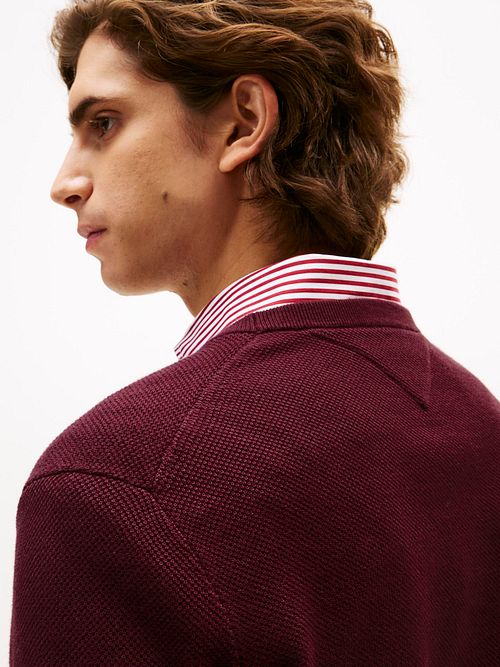 Tommy Hilfiger Structure Pullover Burgundy Model / Achterkant
