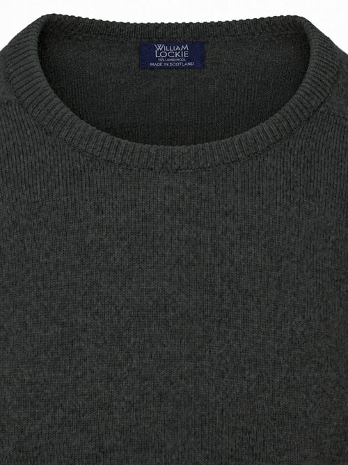 WG14007-Seaweed