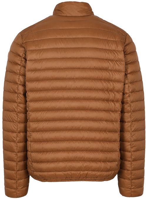 Save The Duck Jacket Alex Noisette Brown