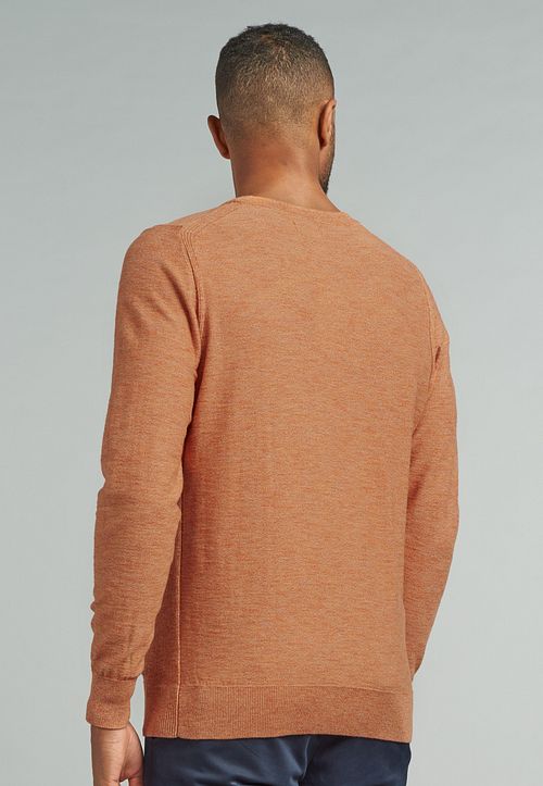 Dstrezzed Mercury Crew Sweter Pomarańczowy Model / Achterkant
