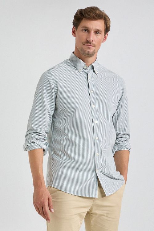 McGregor Skjorte Poplin Stribe Salvie Grøn Model / Voorkant