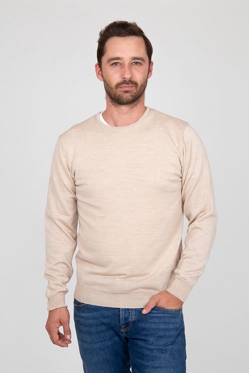 Merino Pullover mit Rundhalsausschnitt in Beige Model / Voorkant mit Emiel