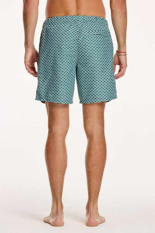 Shiwi Badshorts Hammam Cilantro Grön Model / Achterkant