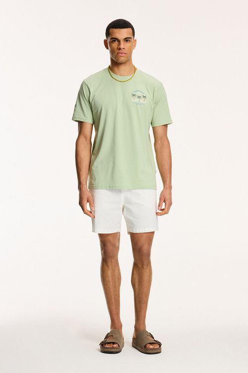 T-Shirt Shiwi Antigua en verde polvo Port Dust Model / Voorkant
