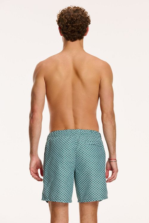Shiwi Swimshorts Hammam Cilantro Green Model / Achterkant