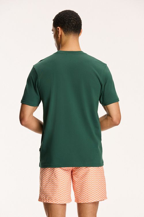 Shiwi T-skjorte Sardiner Koriandergrønn Model / Achterkant