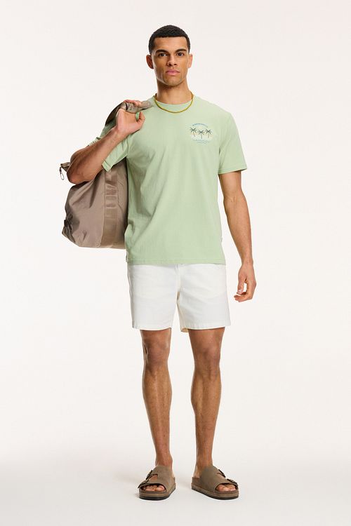 Shiwi T-skjorte Antigua Port Støvgrønn Model / Voorkant